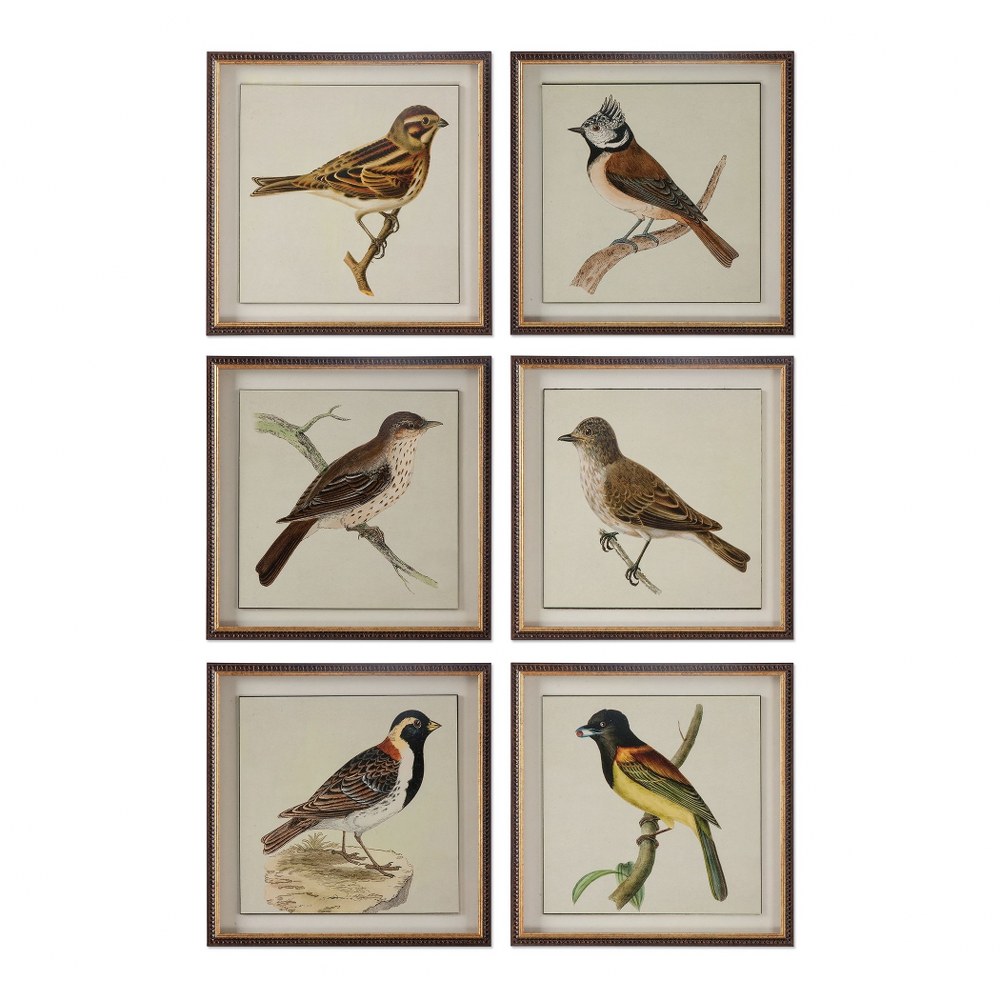 Uttermost-33627-Spring Soldiers - 15 inch Bird Print (Set of 6) - 15 inches wide by 1.38 inches deep   Dark Brown/Distressed Gold/Brown Wash Finish