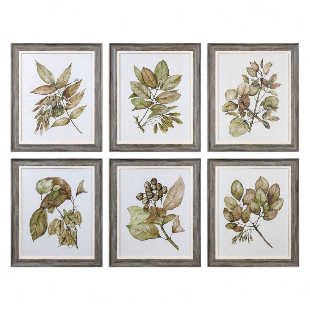 Uttermost-33643-Seedlings - 24.13 inch Framed Print (Set of 6) - 20.13 inches wide by 1.25 inches deep   Gray/Warm Ivory Linen Finish