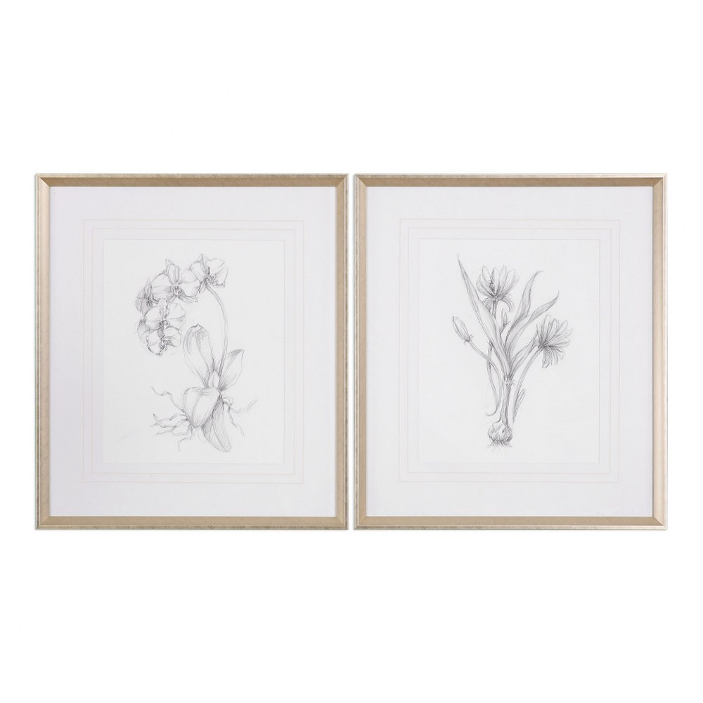 Uttermost-33649-Botanical Sketches - 32 inch Framed Print (Set of 2) - 28 inches wide by 1.5 inches deep   Silver Leaf Finish