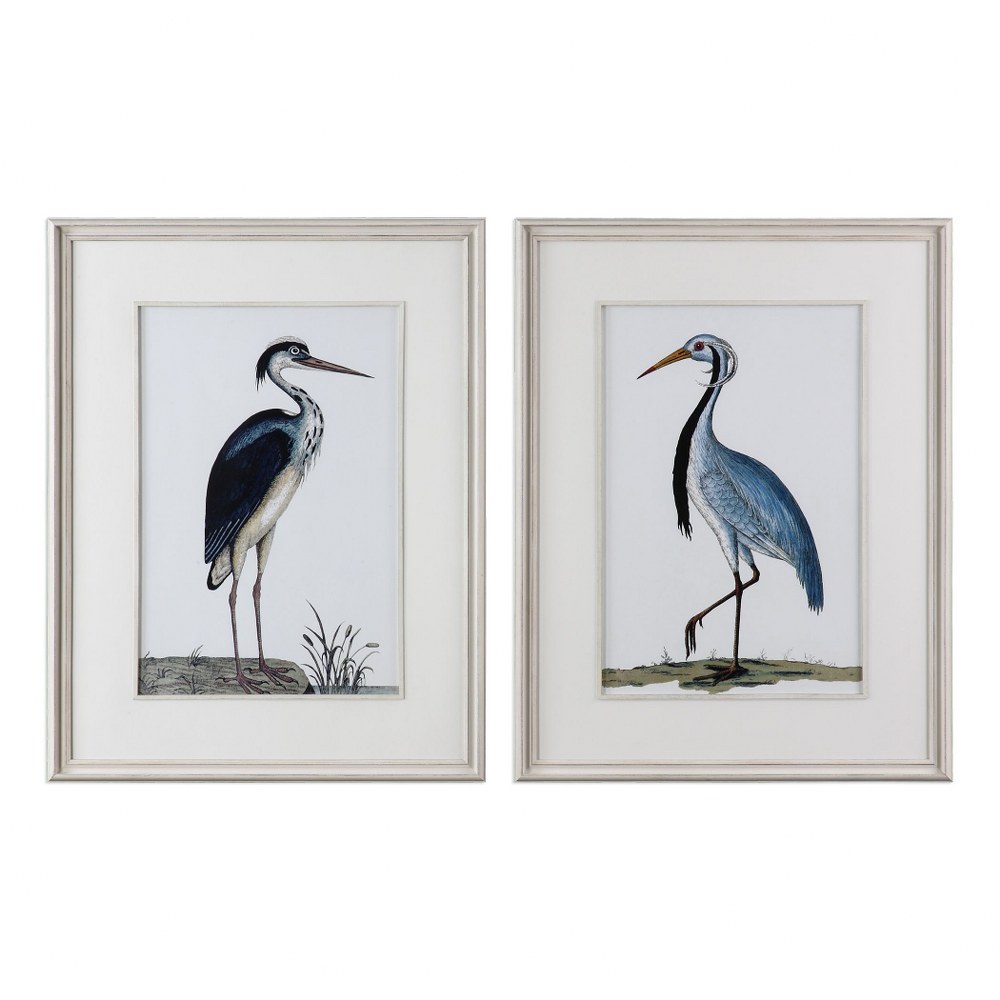 Uttermost-33668-Shore Birds - 42.5 inch Framed Print (Set of 2) - 32.63 inches wide by 1.63 inches deep   Distressed White Wash/White Finish