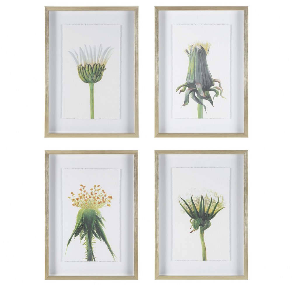 Uttermost-41431-Wildflowers - 27.38 Inch Framed Print (Set of 4)   Brushed Gold/White/Green/Yellow/White/Orange Finish