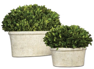 Uttermost-60107-Preserved Boxwood - 14 inch Oval Dome Topiary (Set of 2)   Mossy Stone/Terra Cotta Finish