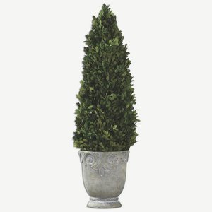 Uttermost-60111-Boxwood - 29 inch Cone Topiary - 9 inches wide by 9 inches deep   Light Stone Finish