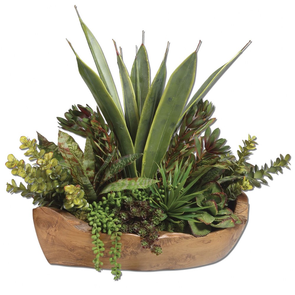 Uttermost-60119-Salar - 22 inch Succulent   Natural Teak Finish