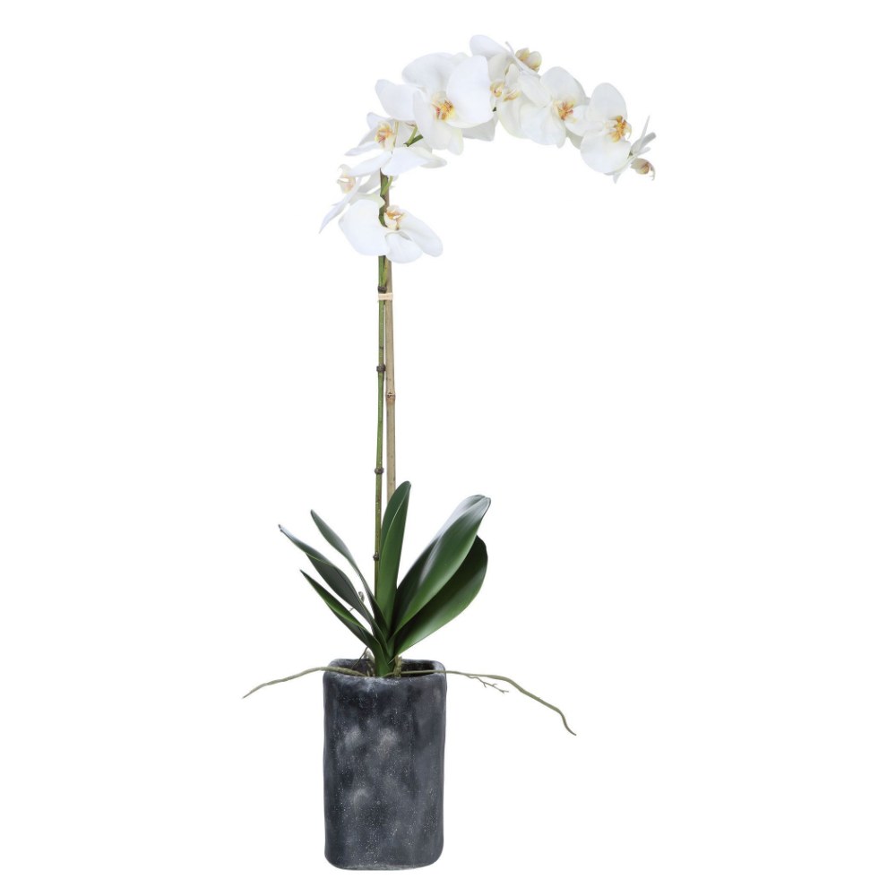 4190641 Uttermost-60175-Eponine - 34.25 inch Orchid   Whit sku 4190641