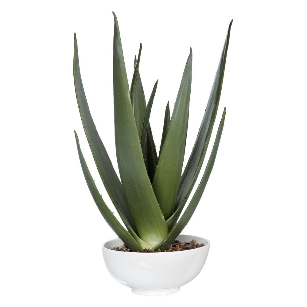 4190642 Uttermost-60177-Evarado - 30 inch Aloe Planter   G sku 4190642