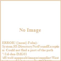 Westinghouse Lighting - 7805300 