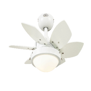 Westinghouse Lighting-7224700-Quince - 24 Inch Ceiling Fan   White Finish with White/Beech Blade Finish with Opal Frosted Glass