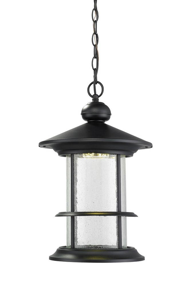 Z-Lite-552CHB-BK-LED-Genesis - 14W 1 LED Outdoor Chain Mount Lantern in Urban Style - 11.63 Inches Wide by 18.13 Inches High   Black Finish with Clear Seedy Glass