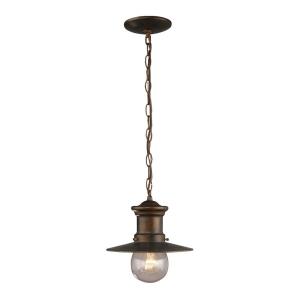 Bronze Finish outdoor ceiling lighting