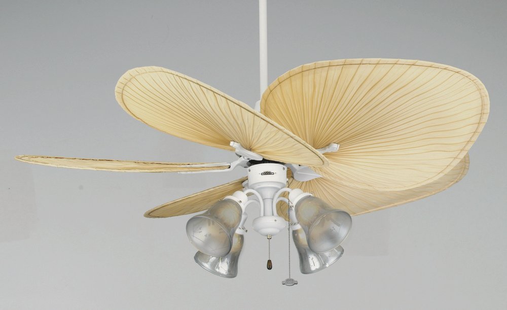 Transitional Ceiling Fans Fanimation Fans Fanimationlighting