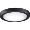 Black Finish - Opal Frosted Glass Color