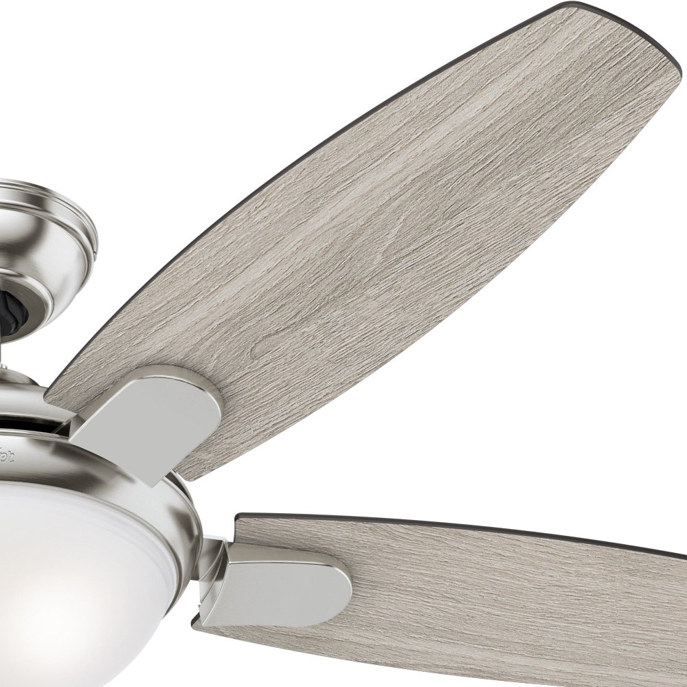 hunter contempo 2 ceiling fan