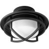 1904-69 - 18W 1 LED Caged White Glass Light Kit - Noir Finish