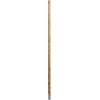 24 Inch Down Rod Length - Aged Silver Leaf Finish